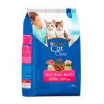 CAT-CHOW-GATITOS-33001009-2.jpg
