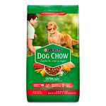 DOG-CHOW-ADULTO-RZA-MED-2KG-33001010-1.jpg